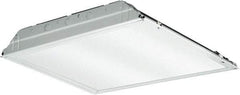 Lithonia Lighting - 0 Lamps, 39.6 Watts, 3,883 Lumens, 2' x 2', LED Lamp Troffer - 120/277 Volt, Dimmable, Acrylic Diffuser, Steel Troffer - Industrial Tool & Supply
