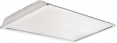 Lithonia Lighting - 0 Lamps, 39 Watts, 2' x 4', LED Lamp Troffer - 120/277 Volt, Dimmable, Acrylic Diffuser, Steel Troffer - Industrial Tool & Supply