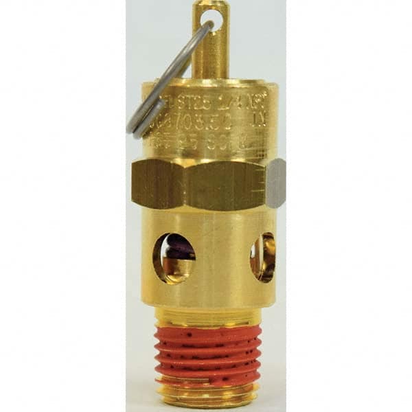 Control Devices - 1/4" Inlet, ASME Safety Valve - Industrial Tool & Supply