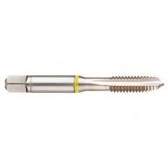 40671 2B 3-Flute Cobalt Yellow Ring Spiral Point Plug Tap-Bright - Industrial Tool & Supply