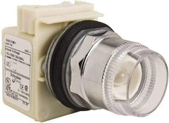 Schneider Electric - 30mm Mount Hole, Extended Straight, Pushbutton Switch Only - Round, Momentary (MO), Weatherproof, Dust and Oil Resistant - Industrial Tool & Supply