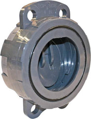 Hayward - 2" PVC Check Valve - Wafer Check Valve, Wafer, 150 WOG - Industrial Tool & Supply