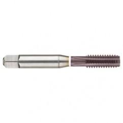 M12 x 1.75 Dia. - 6H - 4 FL - Cobalt Straight Flute Semi-Bott White Ring Tap - Firex - Industrial Tool & Supply