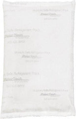 Made in USA - Temperature Control Packs Type: Ice Pack Length (Inch): 6 - Industrial Tool & Supply