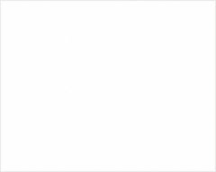 Tape Logic - 10" Long, White Paper Inventory Labels - For Multi-Use - Industrial Tool & Supply