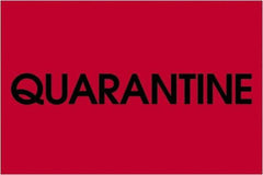 Tape Logic - 3" Long, Fluorescent Red Paper Inventory Labels - For Multi-Use - Industrial Tool & Supply