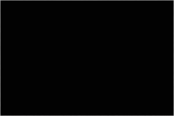 Tape Logic - 3" Long, Black Paper Inventory Labels - For Multi-Use - Industrial Tool & Supply