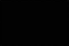 Tape Logic - 3" Long, Black Paper Inventory Labels - For Multi-Use - Industrial Tool & Supply