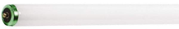 Philips - 56 Watt Fluorescent Tubular Single Pin Lamp - 6,500°K Color Temp, 3,800 Lumens, T12, 12,000 hr Avg Life - Industrial Tool & Supply