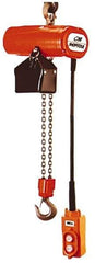 CM - 1/4 Ton Capacity, 12 FPM Lift Speed, Hook Mounted Hoist - 0.167 Output hp, 10' Max Lift, 11-1/16" Min Headroom, 1 Chain - Industrial Tool & Supply