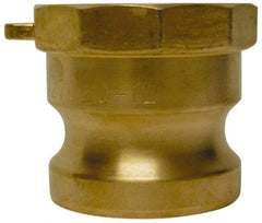 EVER-TITE Coupling Products - 2-1/2" Brass Cam & Groove Suction & Discharge Hose Male Adapter Female NPT Thread - Part A, 2-1/2" Thread, 250 Max psi - Industrial Tool & Supply