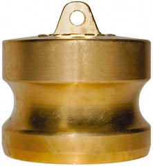 EVER-TITE Coupling Products - 2" Brass Cam & Groove Suction & Discharge Hose Dust Plug For Use with Couplers - Part DP, 350 Max psi - Industrial Tool & Supply