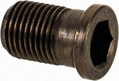 Sandvik Coromant - Torx Plus Cap Screw for Indexables - M2 Thread, Industry Std 5512 090-01, For Use with Assembly Screws - Industrial Tool & Supply