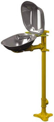 Bradley - Pedestal Mount, Stainless Steel Bowl, Eyewash Station - Industrial Tool & Supply