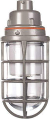 Hubbell Killark - 120 to 277 VAC, 16 Watt, LED Hazardous Location Light Fixture - Corrosion, Dirt, Dust, Heat, Moisture & Vibration Resistant, Aluminum Housing - Industrial Tool & Supply