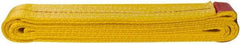 Value Collection - 6' Long x 2" Wide, 6,400 Lb Vertical Capacity, 1 Ply, Polyester Web Sling - 5,000 Lb Choker Capacity, with Endless Sling - Industrial Tool & Supply