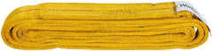 Value Collection - 8' Long x 2" Wide, 12,200 Lb Vertical Capacity, 2 Ply, Polyester Web Sling - 9,800 Lb Choker Capacity, with Endless Sling - Industrial Tool & Supply