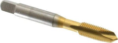 OSG - 5/16-24 UNF, 2 Flute, TiN Finish, High Speed Steel Spiral Point Tap - Plug Chamfer, Right Hand Thread, 2-23/32" OAL, 1-1/8" Thread Length, 0.318" Shank Diam, 3B Class of Fit, Series 105 - Exact Industrial Supply