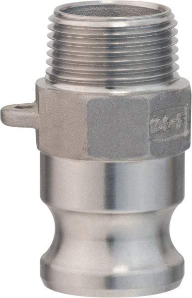 Value Collection - 1-1/2" Stainless Steel Cam & Groove Suction & Discharge Hose Male Adapter Male NPT Thread - Part F, 1-1/2" Thread, 1,000 Max psi - Industrial Tool & Supply
