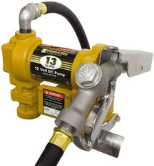 Tuthill - 13 GPM, 3/4" Hose Diam, DC Tank Pump with Manual Nozzle - 1" Inlet, 3/4" Outlet, 12 Volts, 10' Hose Length, 1/4 hp - Industrial Tool & Supply