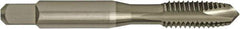 Cleveland - M8x1.25, 2 Flute, TiCN Finish, High Speed Steel Spiral Point Tap - Plug Chamfer, Right Hand Thread, 0.69" Thread Length, 2B Class of Fit, Series 1011TICN - Exact Industrial Supply