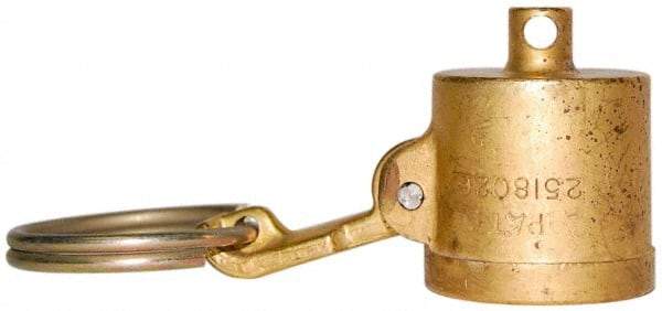 EVER-TITE Coupling Products - 3/4" Brass Cam & Groove Suction & Discharge Hose Dust Cap For Use with Adapters - Part DC, 350 Max psi - Industrial Tool & Supply