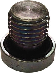 Parker - M22x1.5 Male Thread, Steel Industrial Pipe Hollow Hex Plug - Metric, 5,800 psi - Industrial Tool & Supply