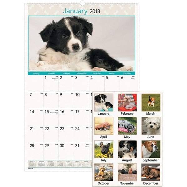 AT-A-GLANCE - 12 Sheet, 15-1/2 x 22-3/4", Wall Calendar - Puppies - Industrial Tool & Supply