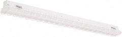 Philips - 48" Long x 3" High, Steel Light Fixture Wire Guard - For Use with PFSI Strips - Industrial Tool & Supply