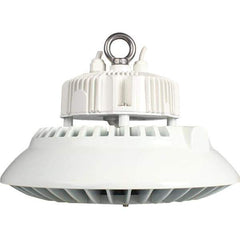 Eiko Global - 1 Lamp, 150 Watts, LED, High Bay Fixture - 11.81" Wide, 120-277 Volt, Steel Housing - Industrial Tool & Supply