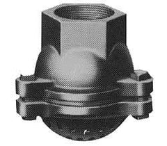 Value Collection - 2-1/2" Hose, Foot Valve - Cast Iron - Industrial Tool & Supply