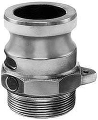 EVER-TITE Coupling Products - 6" Brass Cam & Groove Suction & Discharge Hose Male Adapter Male NPT Thread - Part F, 6" Thread, 75 Max psi - Industrial Tool & Supply