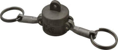 EVER-TITE Coupling Products - 3/4" Stainless Steel Cam & Groove Suction & Discharge Hose Dust Cap For Use with Adapters - Part DC, 250 Max psi - Industrial Tool & Supply