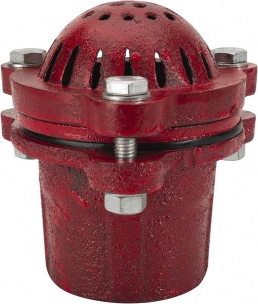 Value Collection - 2" Hose, Foot Valve - Cast Iron - Industrial Tool & Supply