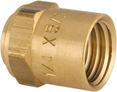 Dixon Valve & Coupling - Reusable Hose Hose Ferrule - 1/4" Hose ID x 5/8" Hose OD - Industrial Tool & Supply