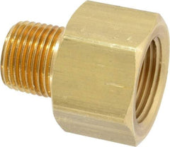 Dixon Valve & Coupling - 1/2 Male Thread x 3/4 Female Thread, Brass Industrial Pipe Adapter - MNPTF x FNPTF, 1,000 psi - Industrial Tool & Supply