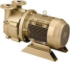 DEKKER Vacuum Technologies - 29 Hg Max, 1-1/2" ANSI 150# RF Flanged Inlet & Discharge, Single Stage Liquid Ring Vaccum Pump - 75 CFM, 5.5 hp, Cast Iron Housing, 316 Stainless Steel Impeller, 1,750 RPM, 230/460 Volts - Industrial Tool & Supply