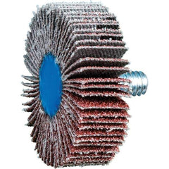PFERD - 1-1/2" Diam x 1/2" Face Width, Aluminum Oxide Coated Mounted Flap Wheel - 1/4-20 Threaded Mount, 60 Grit, 23,000 Max RPM - Industrial Tool & Supply