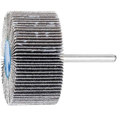 PFERD - 2" Diam x 1" Face Width, Silicon Carbide Coated Mounted Flap Wheel - 1/4" Shank Mount, 80 Grit, 23,000 Max RPM - Industrial Tool & Supply