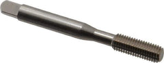 Balax - 1/4-28 UNF H7 Thread Limit Bottoming Thread Forming Tap - Cobalt, Bright Finish, 2-1/2" OAL, Series BXOTL - Exact Industrial Supply