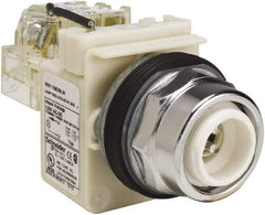 Schneider Electric - 120 VAC LED Indicating Light - Screw Clamp Connector - Industrial Tool & Supply