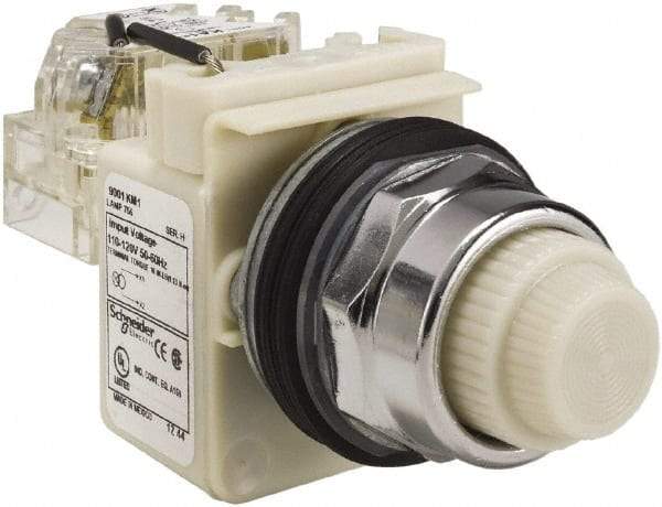 Schneider Electric - 120 VAC White Lens Indicating Light - Screw Clamp Connector - Industrial Tool & Supply