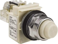 Schneider Electric - 120 VAC White Lens Indicating Light - Screw Clamp Connector - Industrial Tool & Supply