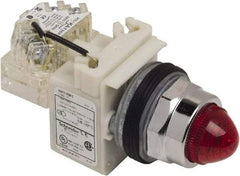 Schneider Electric - 120 VAC Red Lens Indicating Light - Screw Clamp Connector - Industrial Tool & Supply