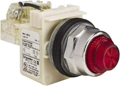 Schneider Electric - 24-28 VAC/VDC Red Lens Indicating Light - Screw Clamp Connector - Industrial Tool & Supply