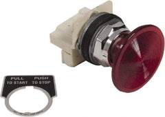 Schneider Electric - 1.18 Inch Mount Hole, Extended Straight, Pushbutton Switch Only - Round, Red Pushbutton, Illuminated, Maintained (MA), Weatherproof, Dust and Oil Resistant - Industrial Tool & Supply