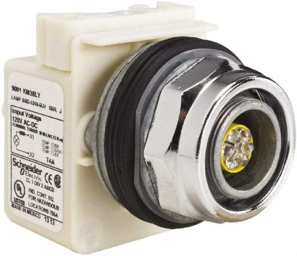 Schneider Electric - 120 V LED Indicating Light - Screw Clamp Connector - Industrial Tool & Supply
