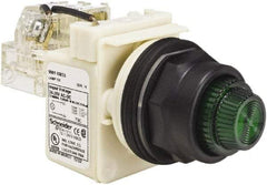 Schneider Electric - 24 V, 28 V Green Lens Press-to-Test Indicating Light - Round Lens, Screw Clamp Connector, Corrosion Resistant, Dust Resistant, Oil Resistant - Industrial Tool & Supply