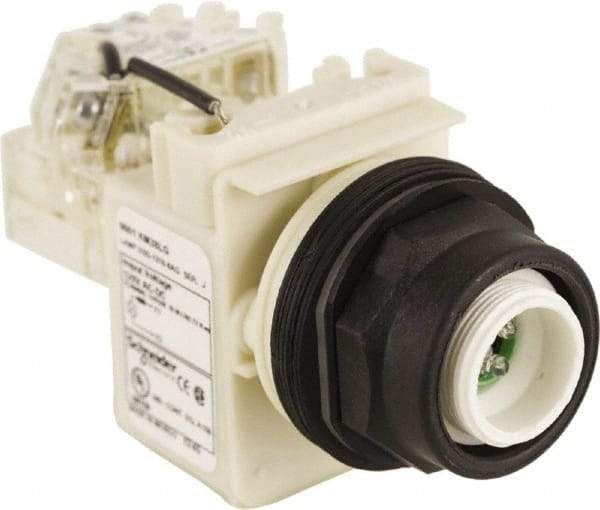 Schneider Electric - 120 V LED Press-to-Test Indicating Light - Round Lens, Screw Clamp Connector, Corrosion Resistant, Dust Resistant, Oil Resistant - Industrial Tool & Supply