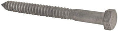 Value Collection - 3/4" Screw, 8" Length Under Head, Steel, Hex Head Lag Screw - Hot Dipped Galvanized, Grade 2 - Industrial Tool & Supply
